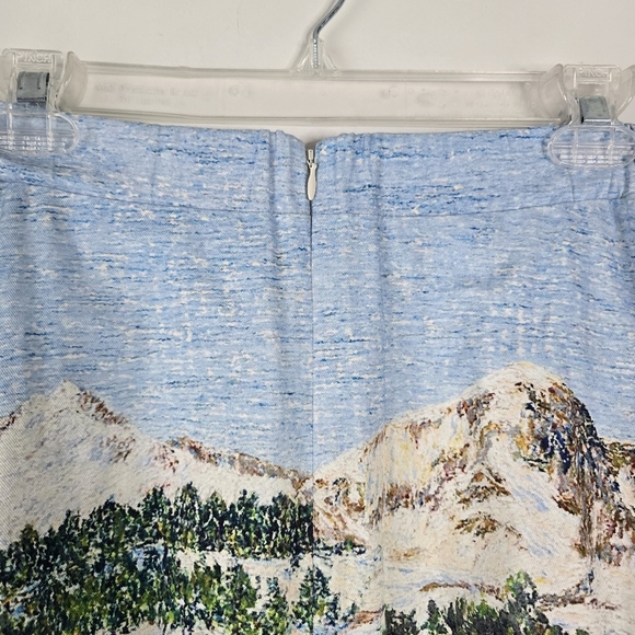 Corey Lynn Calter Wonderland Midi Skirt XS A-Line Cottagecore Ski Resort - Picture 6 of 12